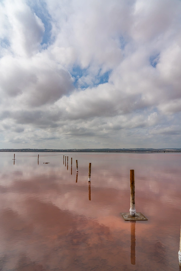 foto de agua de color rosa y cielo con nubes
