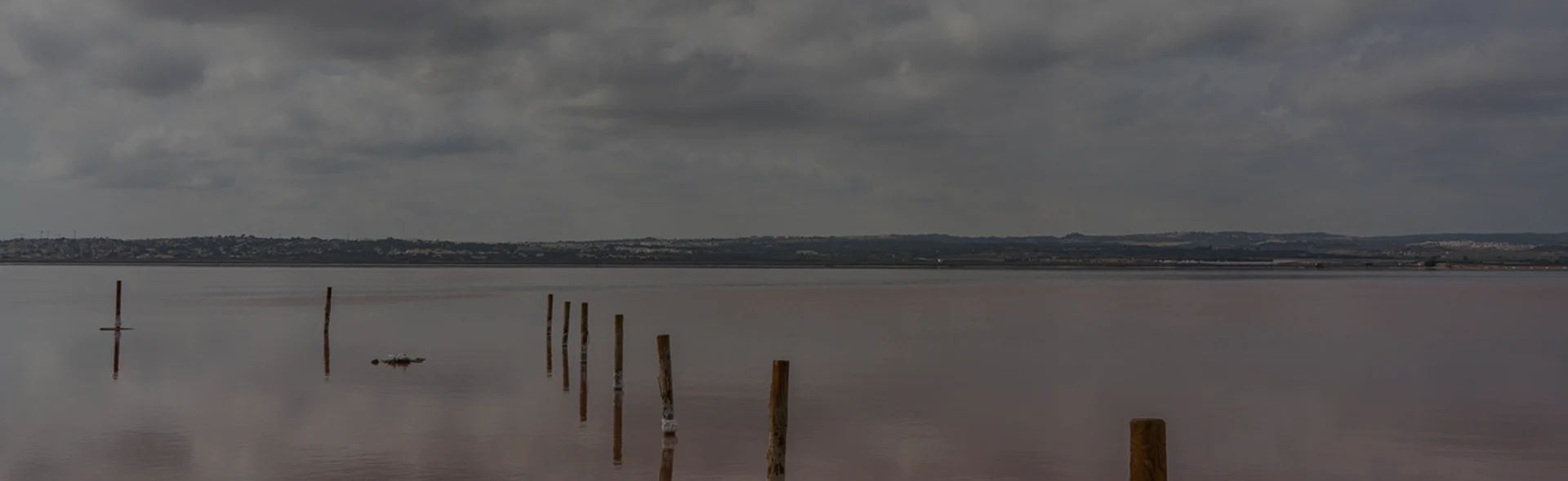 parallax background